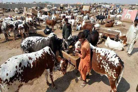 وفاقی حکومت کا عیدالاضحیٰ پر 5 چھٹیوں کا اعلان، نوٹیفکیشن جاری