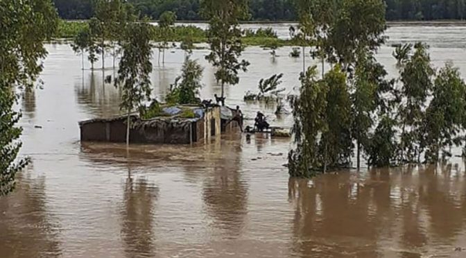 ڈیرہ غازی خان:سیلاب سےتباہی،87 ہزار لوگ متاثر، سڑکیں بہہ گئیں