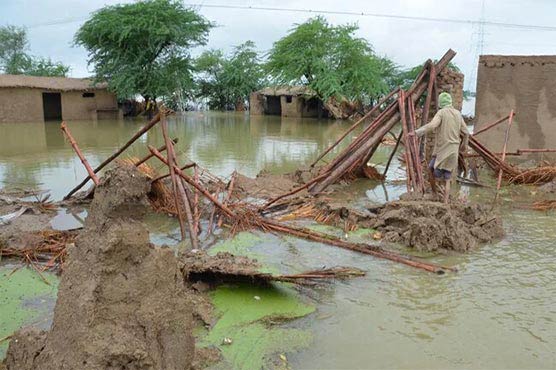 سیلاب تباہی: مزید 119 اموات، مکانات منہدم، سڑکیں تباہ، رابطے منقطع