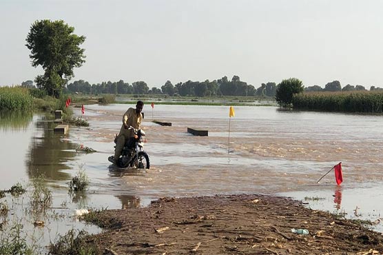 رحیم یار خان: سیلاب کے باعث حفاظتی بند ٹوٹ گئے، سینکڑوں بستیاں، فصلیں تباہ