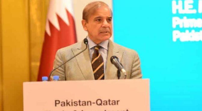 پاکستان میں ہائیڈل توانائی کے شعبے میں سرمایہ کاری کے مواقع موجود ہیں، شہباز شریف
