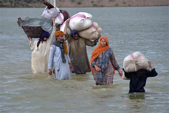 سیلاب زدگان کی امداد کا مشن، امریکا میں مقیم ڈیموکریٹ رہنما طاہر جاوید متحرک