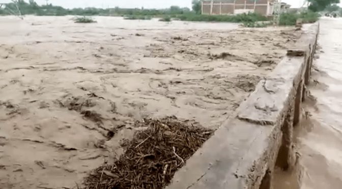 بارشوں اور سیلاب کی تباہ کاریاں، مزید 7 افراد جاں بحق