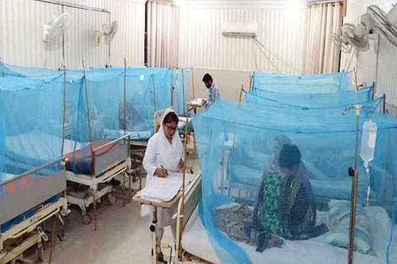 ملک بھر میں ڈینگی بے قابو، مزید 4 اموات، سینکڑوں نئے کیس رپورٹ