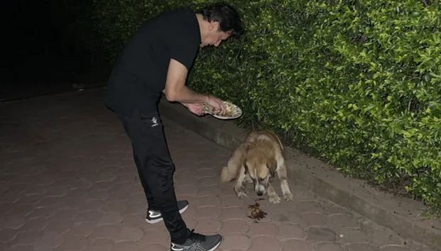 وارنٹ گرفتاری جاری ہونے کے بعد شبلی نے عمران خان کی کتے کو کھانا کھلانے کی تصویر شیئر کردی