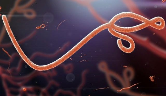 ایبولا وائرس تجربہ گاہ سے پھیلنے کا انکشاف