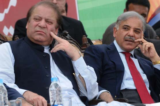 ن لیگ نے آئندہ عام انتخابات کی تیاریوں کا آغاز کر دیا