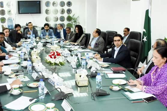 دیہی خواتین کو صنعتی یونٹس میں کام کی تربیت دی جائے گی: مرتضیٰ محمود