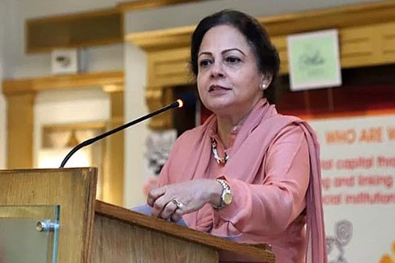 سکوک بانڈز کی ادائیگیاں کردیں، پاکستان کو ڈیفالٹ کا کوئی خطرہ نہیں:عائشہ غوث پاشا