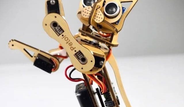 نائبل، دنیا کی پہلی اوپن سورس روبوٹ بلی
