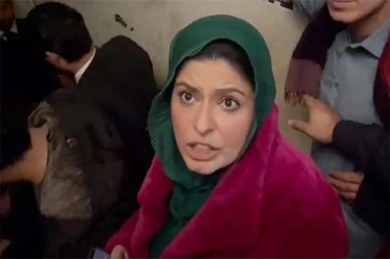 فواد چودھری کی عدالت پیشی پر ان کی اہلیہ کی پولیس سے تکرار
