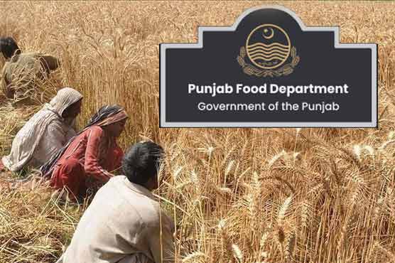 پنجاب میں گندم کی امدادی قیمت 4 ہزار روپے فی من مقرر کرنے کی سفارش