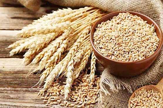 پنجاب حکومت کا گندم کی فی من قیمت بڑھانے کا فیصلہ