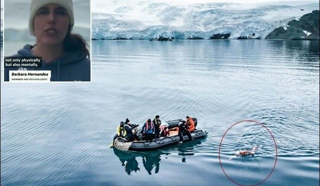 خاتون نے انٹارکٹیکا میں ڈھائی کلومیٹر تیرکر نیا ریکارڈ قائم کردیا