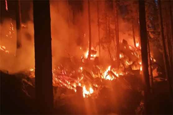 استور : جنگل میں آگ لگنے سے 3 ہزار سے زائد درخت جل گئے