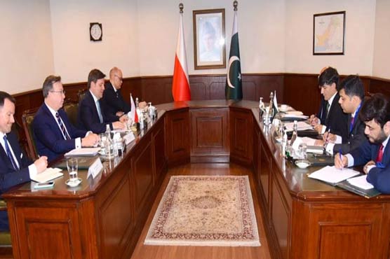 پاکستان اور پولینڈ کے درمیان تجارت سمیت مختلف شعبوں میں تعاون بڑھانے پر اتفاق