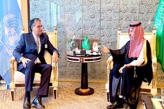 وزیر خارجہ کی سعودی ہم منصب سے ملاقات ، مختلف شعبوں میں تعلقات کے فروغ پر اتفاق