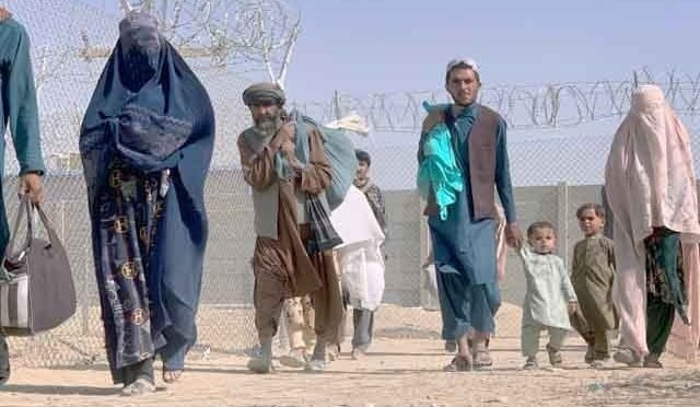 غیر قانونی طور پر مقیم افراد سے متعلق کے پی میں مرکزی کنٹرول روم قائم