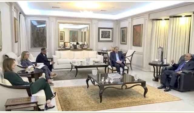 آصف زرداری کی برطانوی ہائی کمشنر سے ملاقات، دوطرفہ تعلقات پر گفتگو