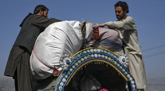 ایران سے ویزے والے افغان باشندے بھی ڈی پورٹ، پاسپورٹ پھاڑ دیئے گئے