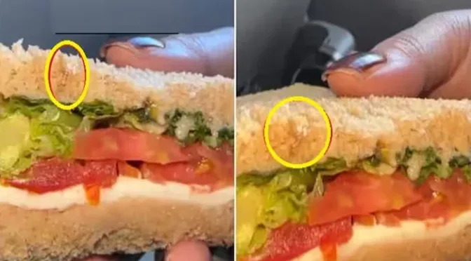 بھارتی ائیرلائن کی پرواز میں مسافر کو دیے گئے سینڈوچ سے زندہ کیڑا نکل آیا
