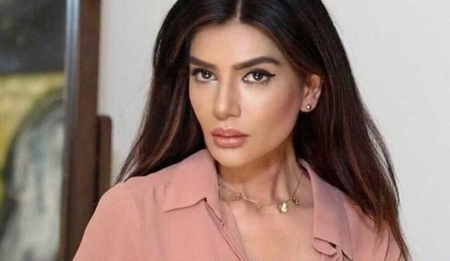 عفت عمر کا مسلم لیگ (ن) کو اپوزیشن میں بیٹھنے کا مشورہ