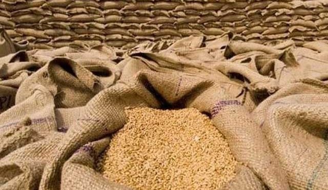 پنجاب؛ کسانوں سے گندم سستی خرید کر گوداموں میں ذخیرہ کیے جانے کا انکشاف