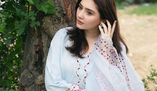 مداح نے درفشاں سلیم کو بوسہ دے دیا، ویڈیو وائرل