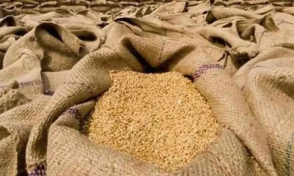 گندم خریداری بحران : باردانہ کسانوں کے بجائے مڈل مین کو فروخت کیے جانے کا انکشاف