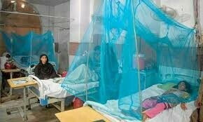 موسمیاتی تبدیلی: پاکستان میں ملیریا کے کیسز میں خطرناک اضافہ