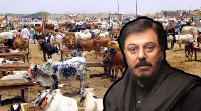 نعمان اعجاز کی مویشی منڈی سیر، اداکار حیران و پریشان