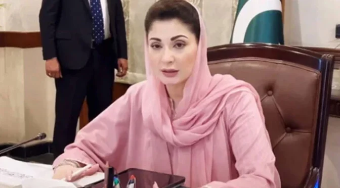 غیر قانونی ہاؤسنگ اسکیموں کو ایمنسٹی دینے پر غور کرنا ہوگا: وزیر اعلیٰ پنجاب