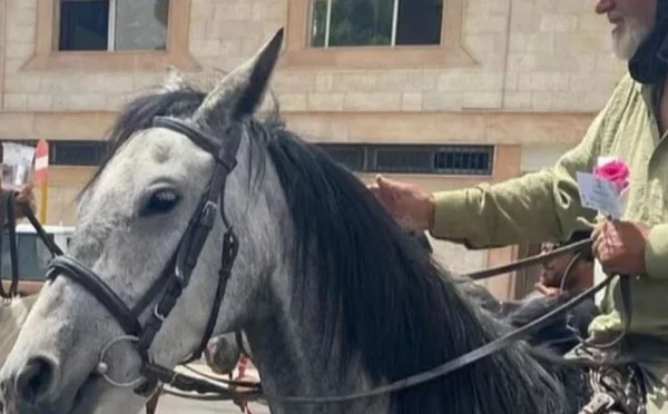یورپ سے حج پر گھوڑوں کے ذریعے سفر، سعودی عرب میں انوکھے حجاج کی آمد