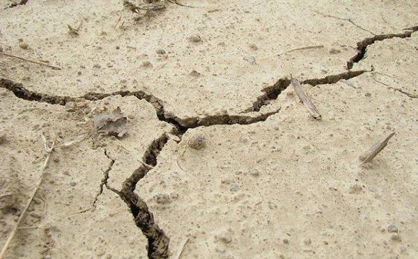 کراچی میں رواں ماہ زلزلے کے کتنے جھٹکے محسوس کیے گئے؟ وجہ کیا ہے؟