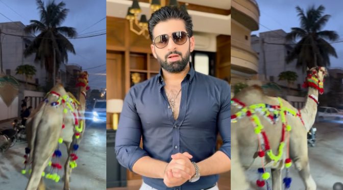 قربانی کا اونٹ بھاگ گیا، منیب بٹ کی اپیل منظرعام پر