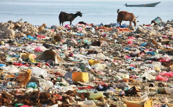 آلودگی، پلاسٹک، ناقص غذا نوجوانوں میں کینسر کی بڑی وجہ