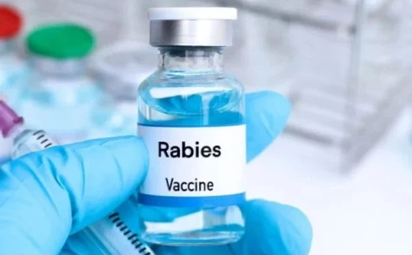 پاکستان میں پہلی بار مقامی سطح پر ریبیز ویکسین تیار