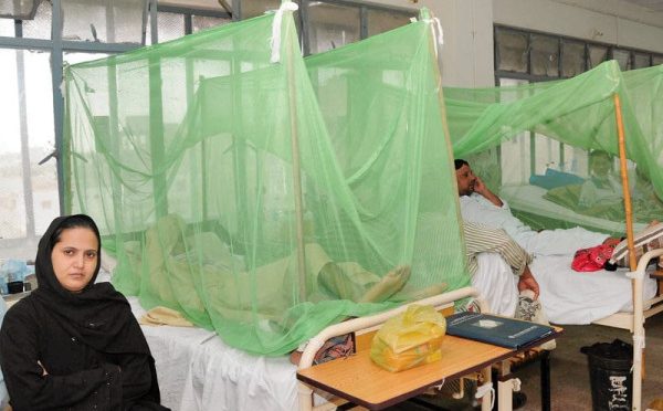 راولپنڈی میں ڈینگی کی شدت میں اضافہ، 58 نئے کیسز کی تصدیق