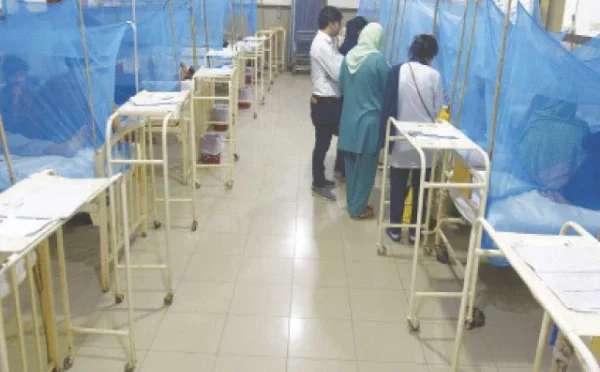 راولپنڈی میں اب تک ڈینگی کے 85 کیسز رپورٹ