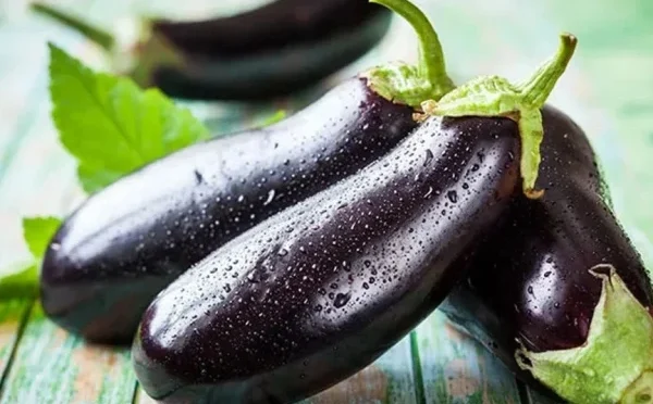 بینگن وزن کم کرنے میں معاون قرار