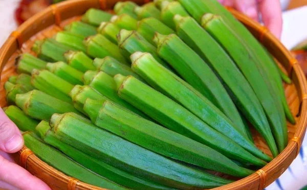 روزمرہ کی خوراک میں بھنڈی ضرور شامل کریں، حیرت انگیز فوائد