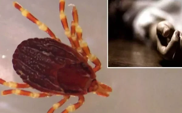 سندھ میں رواں سال کانگو وائرس سے پانچویں ہلاکت کی تصدیق