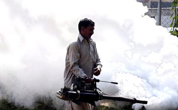 راولپنڈی میں ڈینگی بےقابو ہوگیا