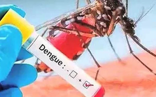 راولپنڈی میں ڈینگی مچھروں خطرناک وار کا سلسلہ جاری