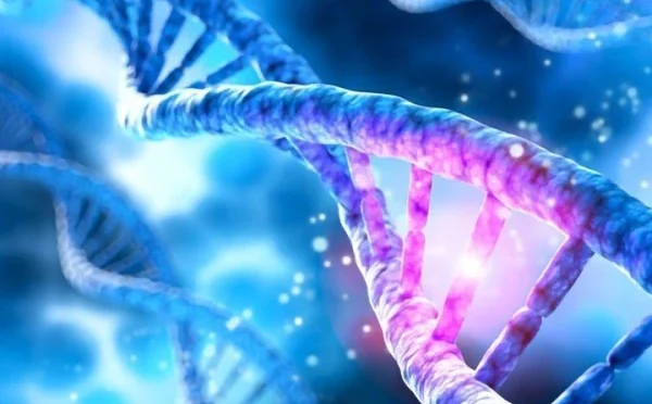 کینسر کے خطرے کے حوالے سے اہم کردار جینیات کا ہوتا ہے، ماہرین