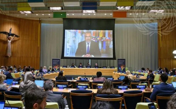 اقوام متحدہ، ذہنی صحت اور نان کمیونیکیبل بیماریوں کے خلاف جنگ جاری ہے، ڈی جی ہیلتھ