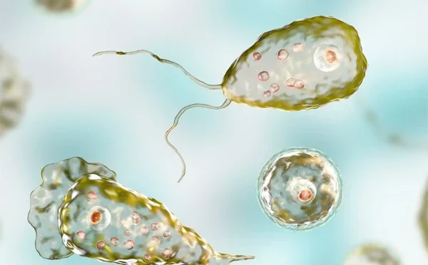 کراچی: نیگلیریا فاولیری کے باعث 29 سالہ شخص جان کی بازی ہار گیا