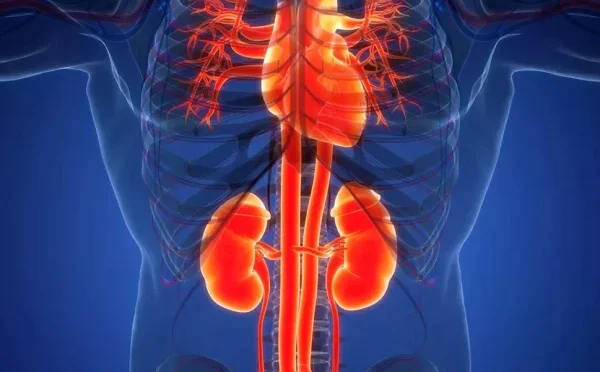 گردوں کی ناکامی سے ہونے والی اموات کے پیچھے کونسا عام مرض مخفی