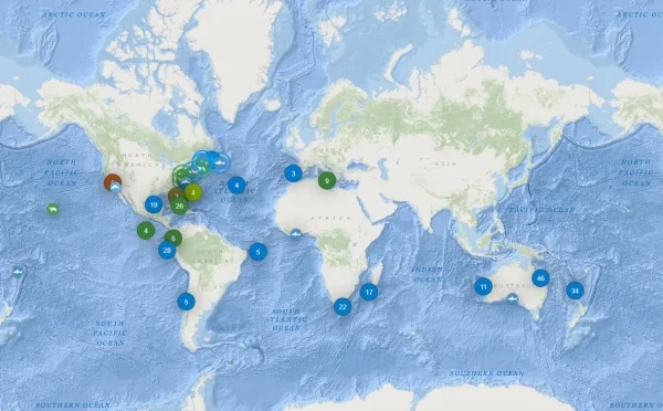 دنیا بھر کی تمام شارک مچھلیوں کی لائیو لوکیشن دکھانے والی حیران کن ایپ متعارف