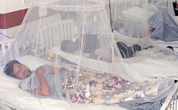 راولپنڈی؛ ڈینگی کیسز میں اضافہ، گزشتہ 24 گھنٹوں کے دوران 20 نئے مریض رپورٹ